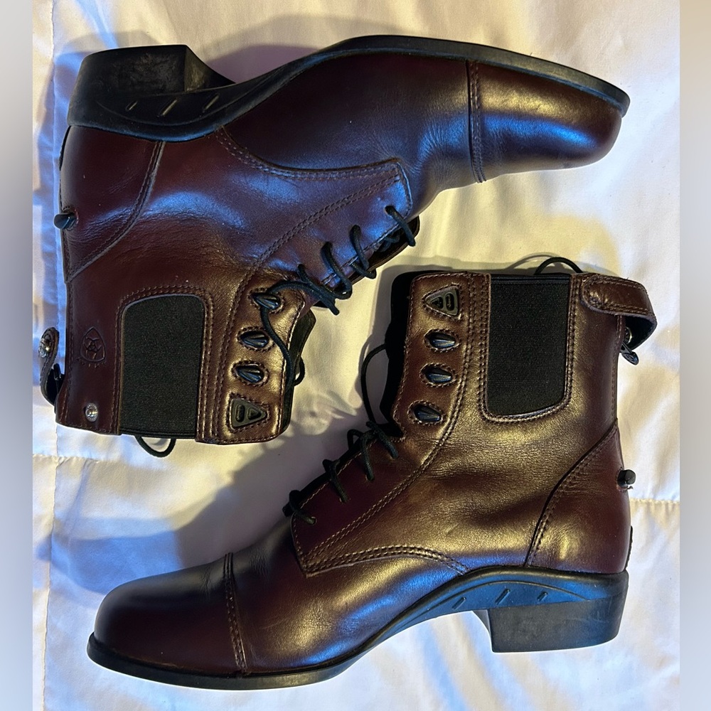 Ariat® Performer Zip Women's Paddock Boot mahogany Brown Lace Up High Top 8.5